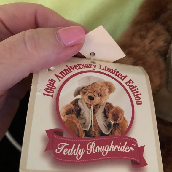 DanDee Teddy Roughrider 100th Anniversary Special Addition Bear 13” tall… - Picture 7 of 12